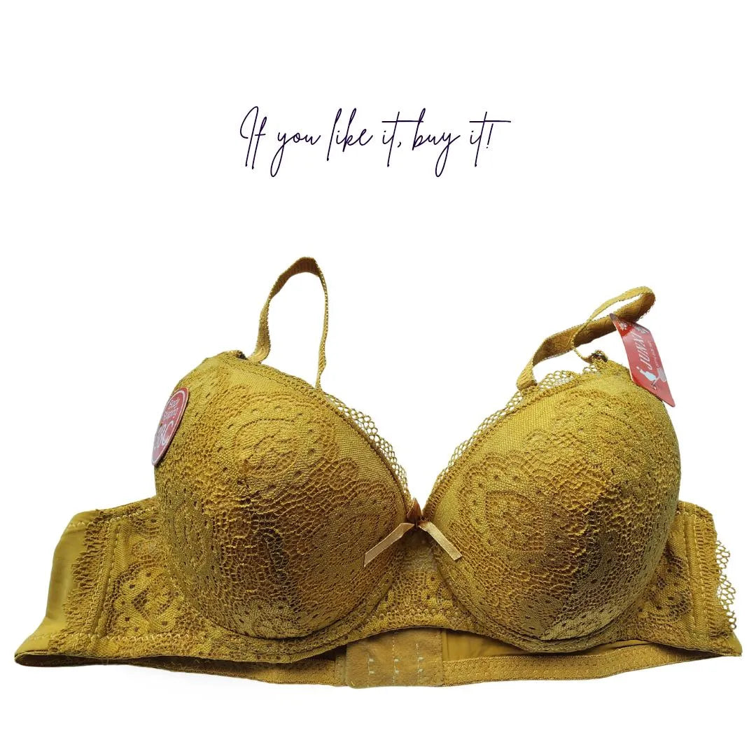 Elegant Floral Lace Padded Bra: Full Coverage Body Shaping Comfort Lingerie